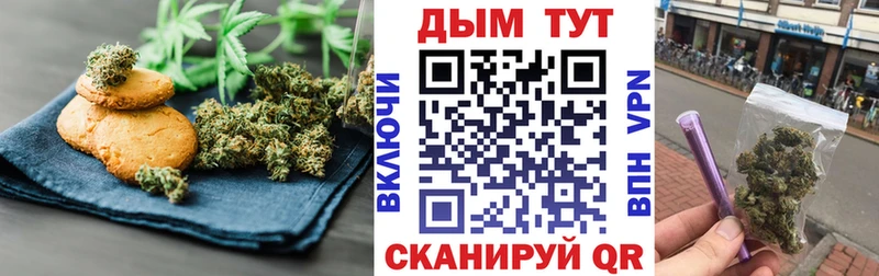 цена   Будённовск  Canna-Cookies конопля 