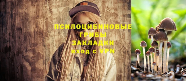 apvp Белокуриха