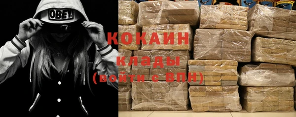 apvp Белокуриха