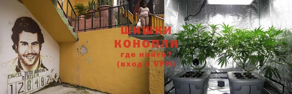 apvp Белокуриха