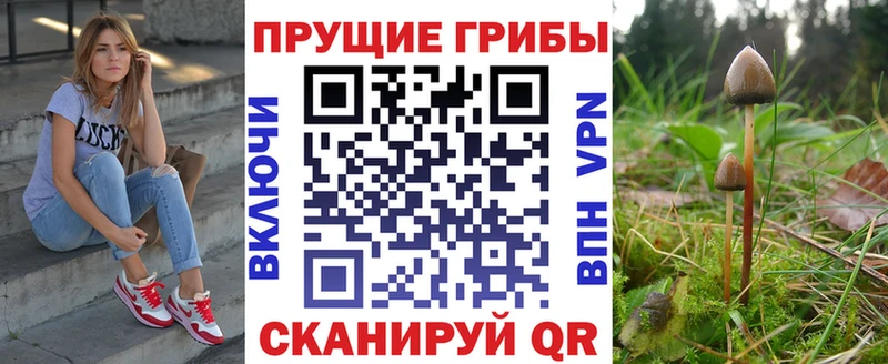 KRAKEN tor где продают наркотики Будённовск Псилоцибиновые грибы мухоморы